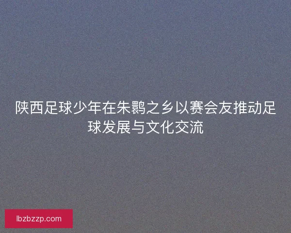 陕西足球少年在朱鹮之乡以赛会友推动足球发展与文化交流